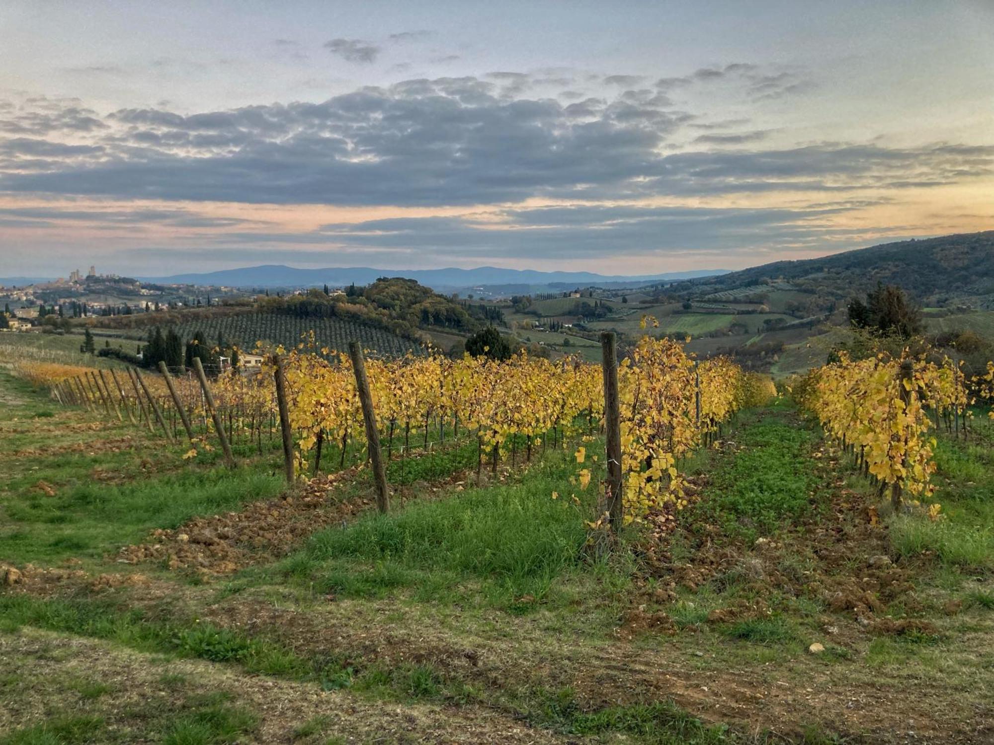 La Casa Rossa Arcola Con Vista Villa Dış mekan fotoğraf