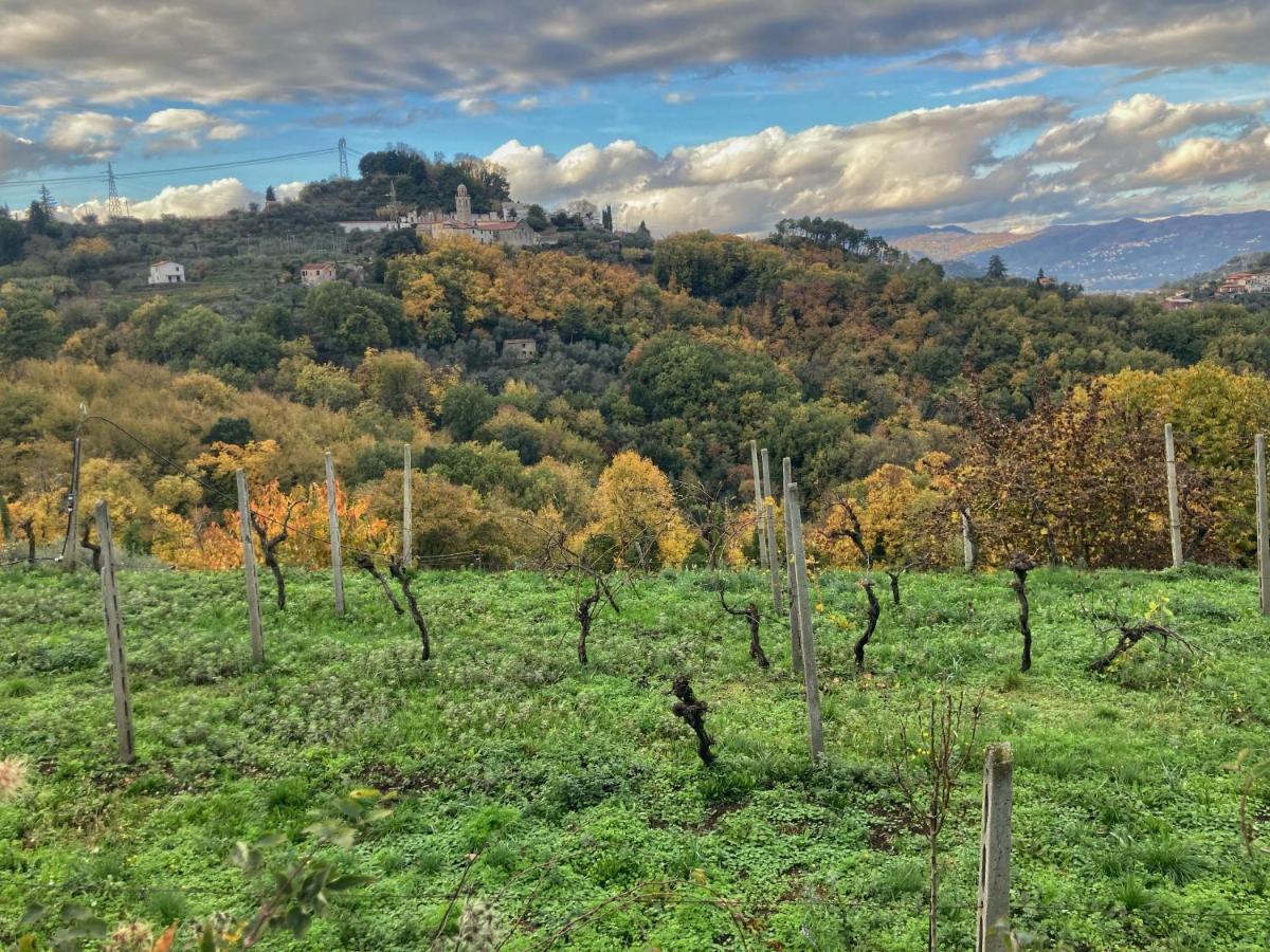 La Casa Rossa Arcola Con Vista Villa Dış mekan fotoğraf