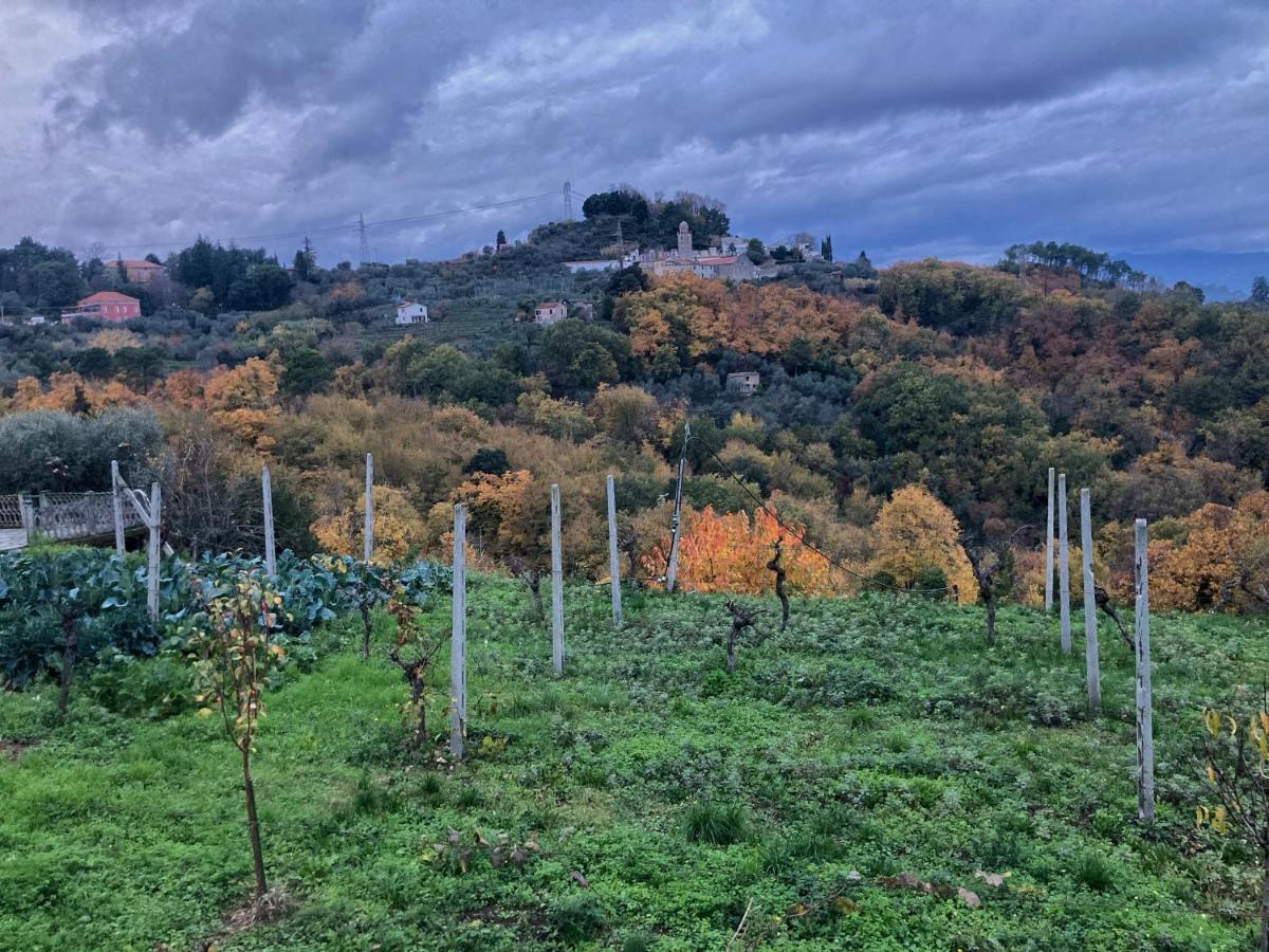 La Casa Rossa Arcola Con Vista Villa Dış mekan fotoğraf